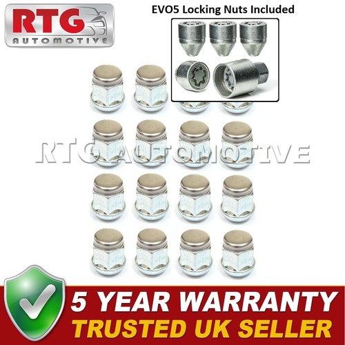 16x nuts evo5 - nuts, 4x